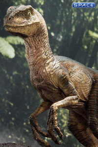 1/6 Scale Velociraptor Legacy Museum Collection Statue - closed Mouth Version (Jurassic Park)