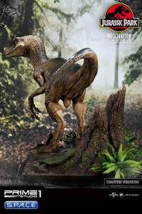 1/6 Scale Velociraptor Legacy Museum Collection Statue - closed Mouth Version (Jurassic Park)