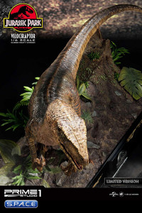 1/6 Scale Velociraptor Legacy Museum Collection Statue - closed Mouth Version (Jurassic Park)