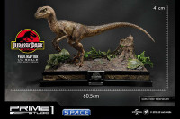 1/6 Scale Velociraptor Legacy Museum Collection Statue - closed Mouth Version (Jurassic Park)