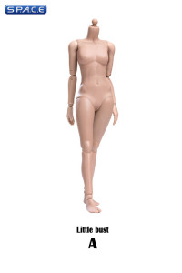 1/6 Scale female suntan Body (2019 Version / small Breast / with joints)