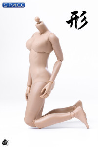 1/6 Scale female suntan Body (2019 Version / large Breast / with joints)