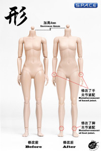 1/6 Scale female suntan Body (2019 Version / large Breast / with joints)