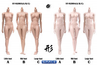 1/6 Scale female suntan Body (2019 Version / large Breast / with joints)