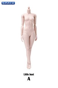 1/6 Scale female pale Body (2019 Version / small Breast / with joints)