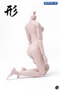 1/6 Scale female pale Body (2019 Version / large Breast / with joints)