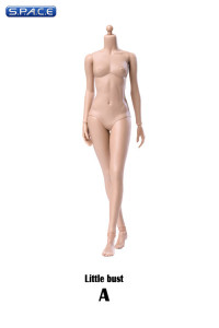 1/6 Scale female suntan Body (2019 Version / small breast / semi-seamless)