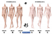 1/6 Scale female suntan Body (2019 Version / small breast / semi-seamless)
