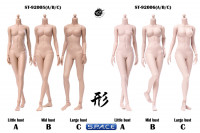 1/6 Scale female suntan Body (2019 Version / large breast / semi-seamless)