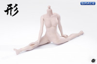 1/6 Scale female pale Body (2019 Version / medium breast / semi-seamless)