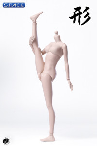 1/6 Scale female pale Body (2019 Version / large breast / semi-seamless)