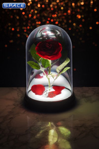 Enchanted Rose Light (Beauty and the Beast)