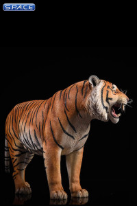 1/6 Scale yellow Bengal Tiger - Version 2