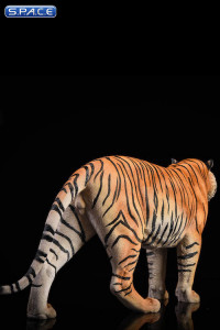 1/6 Scale yellow Bengal Tiger - Version 2