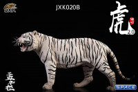 1/6 Scale white Bengal Tiger - Version 2