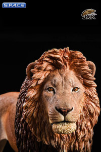 1/6 Scale brown Lion