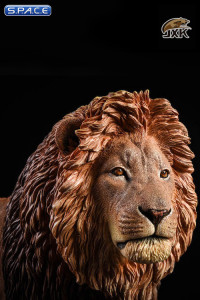 1/6 Scale brown Lion