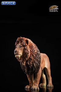 1/6 Scale brown Lion