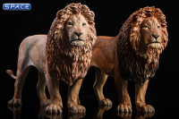 1/6 Scale brown Lion