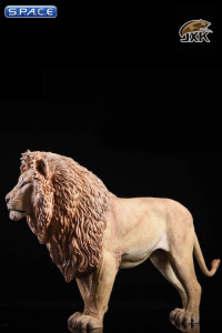 1/6 Scale grey Lion