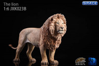 1/6 Scale grey Lion