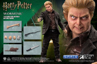 1/6 Scale Wormtail Peter Pettigrew (Harry Potter)