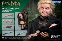 1/6 Scale Wormtail Peter Pettigrew Deluxe Version (Harry Potter)