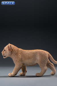 1/6 Scale sand-colored Simba