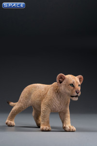 1/6 Scale sand-colored Simba