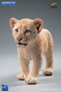 1/6 Scale sand-colored Simba