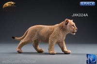 1/6 Scale sand-colored Simba