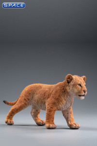 1/6 Scale yellow Simba