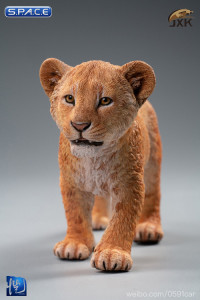 1/6 Scale yellow Simba