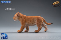 1/6 Scale yellow Simba