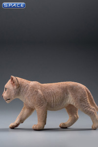 1/6 Scale sand-colored Nala