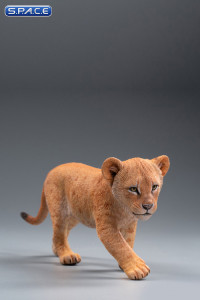 1/6 Scale yellow Nala