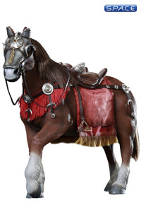 1/6 Scale Horse of Imperial Roman General