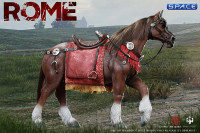 1/6 Scale Horse of Imperial Roman General