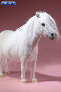 1/6 Scale white Shetland Pony