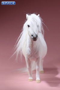 1/6 Scale white Shetland Pony