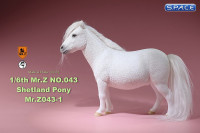 1/6 Scale white Shetland Pony