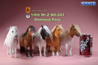1/6 Scale white Shetland Pony