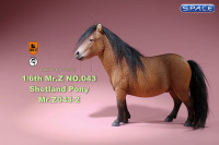 1/6 Scale brown Shetland Pony