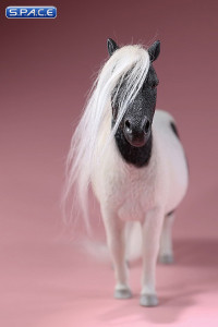 1/6 Scale black patched Shetland Pony