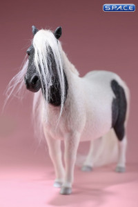 1/6 Scale black patched Shetland Pony