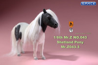 1/6 Scale black patched Shetland Pony