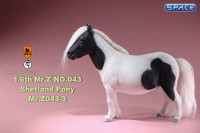 1/6 Scale black patched Shetland Pony