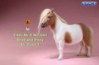 1/6 Scale brown patched Shetland Pony
