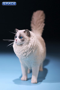 1/6 Scale Ragdoll Version E