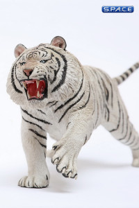 1/6 Scale white attacking Tiger - Panthera Tigris Altaica